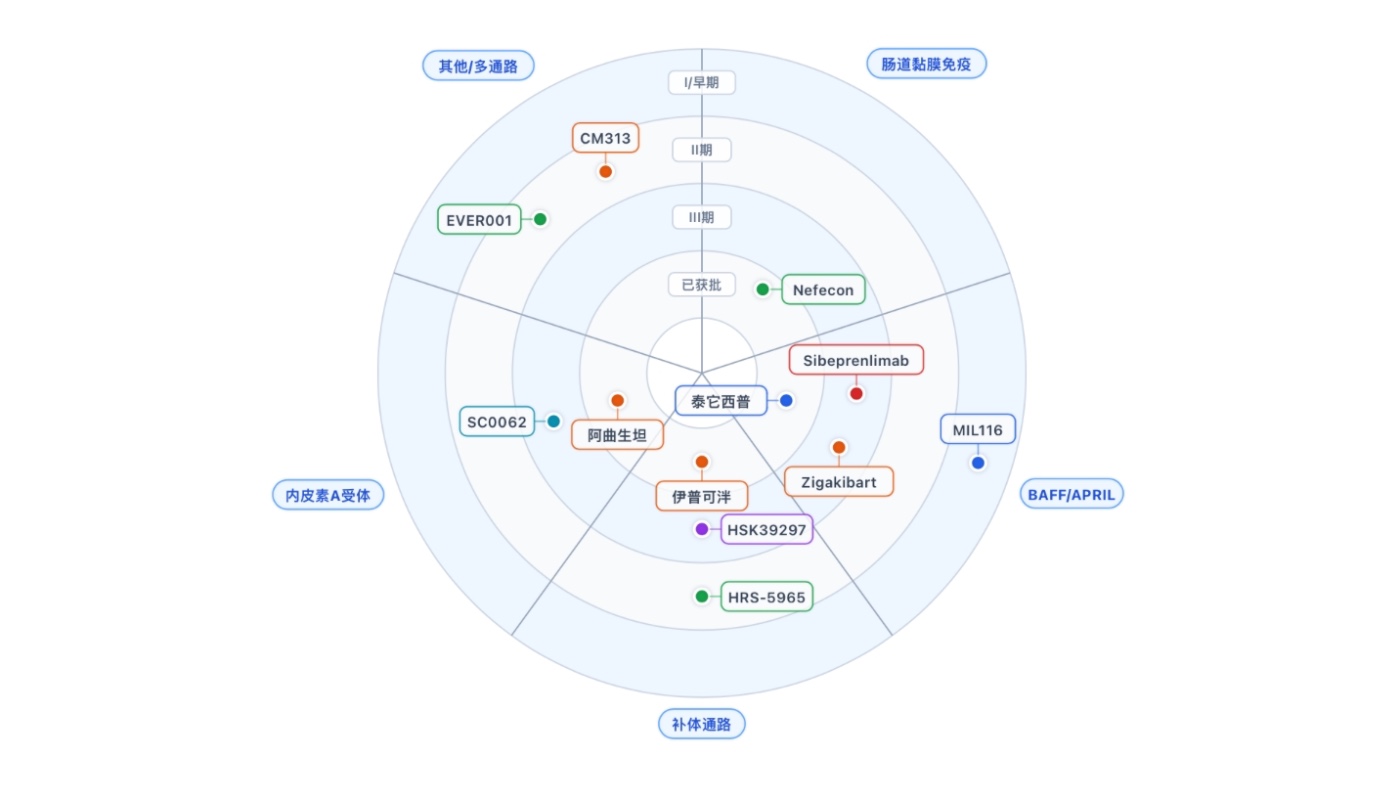 一句话生成IgAN竞争情报分析:用药番茄完成一份专业CCI报告